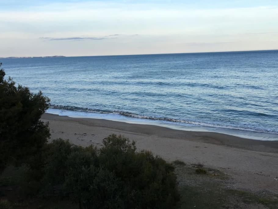 Miami Playa Beach-Lovers - Apartamento 1Era Linia Mar מראה חיצוני תמונה